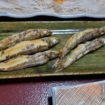 民宿 鈴せい - メヒカリは脂が美味しいんだよねぇ〰️❤️