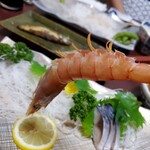 民宿 鈴せい - このエビがまたまた甘くて美味しいんだよねぇ〰️❤️