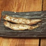 炙処 火ノ膳 - ししゃも