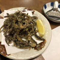 割烹 蒲焼 大沼 - 