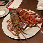 スガラボヴィー - 