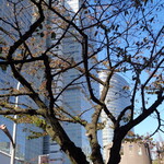 ラーメン二郎 - これはこれで気持ちいい