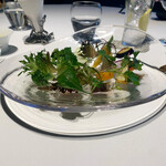 レフェルヴェソンス - 