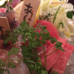 まな板の上のサカナ - 