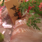 まな板の上のサカナ - 