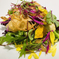 Restaurant COCON (鎌倉古今) - 
