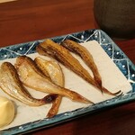 かない - はたはた