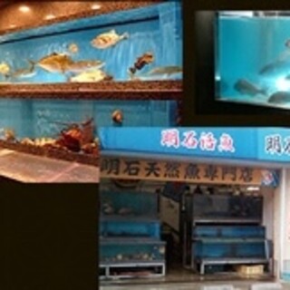 Our proud fish shop. I am confident in my ability to see fish! ︎