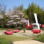 寿長生の郷 - 駐車場から少し来た「桜苑」（桜がいっぱい）に出されたお茶処