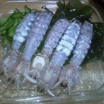 居酒屋 ふじさわ - 活きシャコ酢です