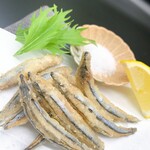 極上肉寿司専門店 華あがり - 