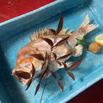 泊まれる 居酒屋 Imura - 鯛の塩焼き