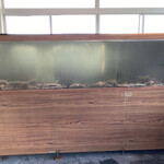 こばせ - 水槽はまだ少な目