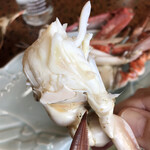 はま美本館 - 身をぶりんっと