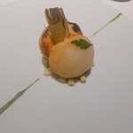 レフェルヴェソンス - 