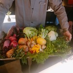 レフェルヴェソンス - 