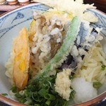 野菜天ぶっかけ