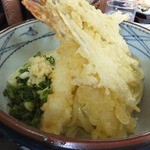 えび天ぶっかけ