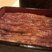 うなぎ川勢 - 