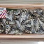 江南保商店 - 