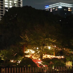 トゥールダルジャン - サロンから見る日本庭園