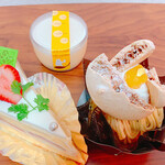 森のくまさんボンガトー - 