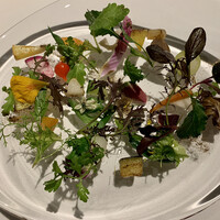 レフェルヴェソンス - 