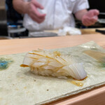 鮨 わき田 - いか