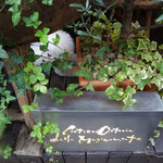 アンティカ オステリア マジカメンテ - １年振り〜♬