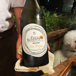 アンティカ オステリア マジカメンテ - お薦めビオ・ワイン