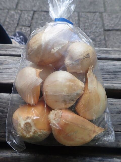 自然農園MITU畑deマルシェ | 陸前高砂の新鮮野菜直売所