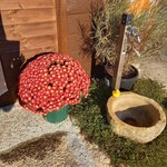 ベーカリーツキヨシ - 