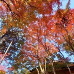 ベーカリーツキヨシ - 