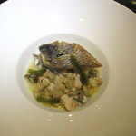 エクアトゥール - 日向灘のヒラスズキの鱗焼き、ツブ貝と白ウド、ジュンサイの軽いソース　海葡萄のアクセントで