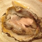 Hata - 岩牡蠣