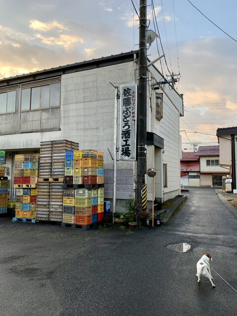 佐藤ぶどう酒（サトウブドウシュ） - 赤湯（その他）の写真