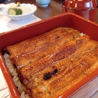 割烹 蒲焼 大沼 - 