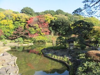 Soba Takashima - 細川庭園②