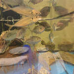 魚ト肴いとおかし - 