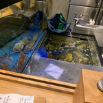 魚ト肴いとおかし - 