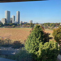 鰻割烹 伊豆栄 本店 - 