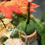 炯 - 岩魚の苔玉☆