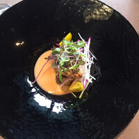 スミレオオサカ - 