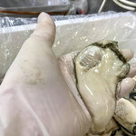 とんかつ一幸 - 一幸さんから、いただいた写真です❗️
      さすが3年間、大船渡湾で育てられた牡蠣‼️
      …今年も大きいですね…\(//∇//)\