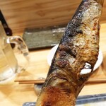 焼き鳥 ばかちん - sardine