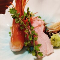 赤坂 蕎介 - 