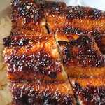 かわ専 - 主役のうなぎ