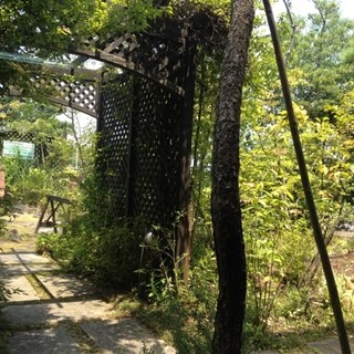 Cafe Lunch F2 studio_2