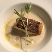 Bar&Lounge MAJESTIC -  Bar&Lounge MAJESTIC -