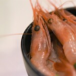 ラボラトリー - 天然生甘エビ丼(小)